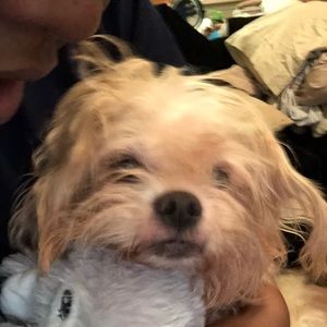 Meet your Posher, Brenda